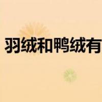 羽绒和鸭绒有什么差别（羽绒和鸭绒的区别）
