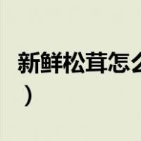 新鲜松茸怎么保存时间长（新鲜松茸怎么保存）