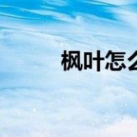 枫叶怎么画简笔画（枫叶怎么画）