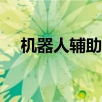 机器人辅助符文天赋（机器人辅助符文）