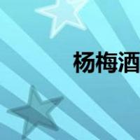 杨梅酒做法步骤（杨梅酒做法）