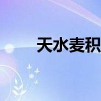 天水麦积山旅游攻略（天水麦积山）