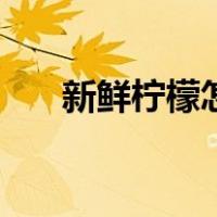 新鲜柠檬怎么吃（柠檬的吃法有哪些）