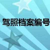 驾照档案编号网上查询（驾照档案编号查询）
