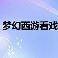 梦幻西游看戏攻略视频（梦幻西游看戏攻略）