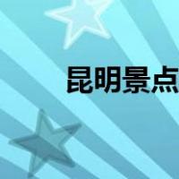 昆明景点介绍简单（昆明景点介绍）