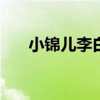 小锦儿李白出装铭文（李白出装铭文）