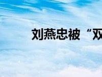 刘燕忠被“双开” 这是什么情况？