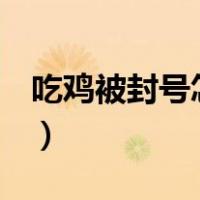 吃鸡被封号怎么申诉（吃鸡被vac封号怎么办）