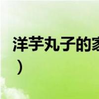 洋芋丸子的家常做法蒸（洋芋丸子的家常做法）