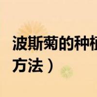 波斯菊的种植方法和注意事项（波斯菊的种植方法）