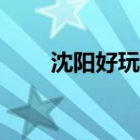 沈阳好玩的旅游景点（沈阳好玩的）