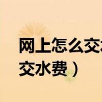 网上怎么交水费 网上如何交水费（网上怎么交水费）