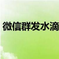 微信群发水滴筹是真的吗（水滴筹是真的吗）