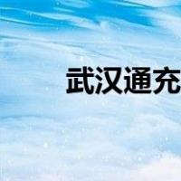 武汉通充值多久到账（武汉通充值）