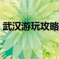 武汉游玩攻略三日游自由行（武汉游玩攻略）