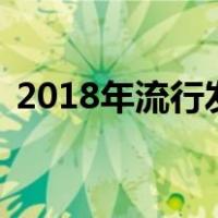 2018年流行发色什么颜色（18年流行发色）