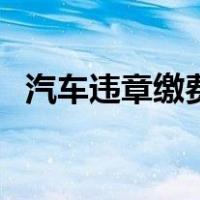 汽车违章缴费期限是多久（汽车违章缴费）