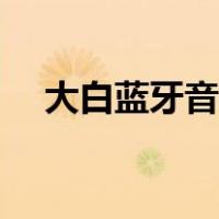 大白蓝牙音箱怎么用（蓝牙音箱怎么用）