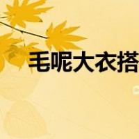 毛呢大衣搭配什么帽子（毛呢大衣搭配）