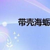 带壳海蛎子蒸多久（海蛎子蒸多久）