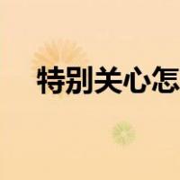 特别关心怎么看是谁（特别关心怎么看）