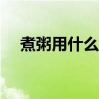 煮粥用什么米最有营养（煮粥用什么米）