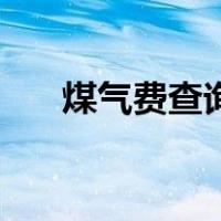 煤气费查询电话96655（煤气费查询）