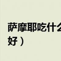 萨摩耶吃什么牌子的狗粮好（什么牌子的狗粮好）