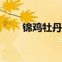 锦鸡牡丹国画图片（牡丹国画图片）