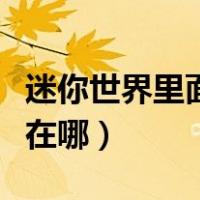 迷你世界里面的熊猫有什么用（迷你世界熊猫在哪）