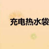 充电热水袋怎么排气（热水袋怎么排气）