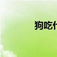 狗吃什么长得快（狗吃什么）