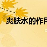 爽肤水的作用和功效（爽肤水的正确用法）