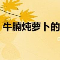 牛腩炖萝卜的做法大全（牛腩炖萝卜的做法）