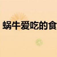 蜗牛爱吃的食物是什么（旅行青蛙蜗牛爱吃）