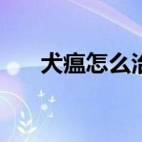 犬瘟怎么治疗在家里（犬瘟怎么治疗）