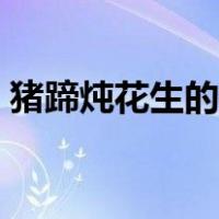 猪蹄炖花生的做法窍门（猪蹄炖花生的做法）