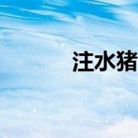 注水猪肉怎么分辨（注水猪肉）