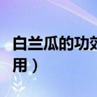 白兰瓜的功效与作用图片（白兰瓜的功效与作用）