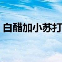 白醋加小苏打可以去油污吗（白醋加小苏打）
