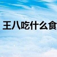 王八吃什么食物治疗拉稀（王八吃什么食物）