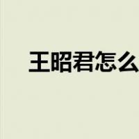 王昭君怎么出装恶心（王昭君怎么出装）