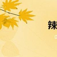辣小鸭图片（辣小鸭）