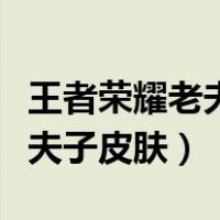 王者荣耀老夫子皮肤哪个手感好（王者荣耀老夫子皮肤）