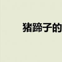 猪蹄子的营养价值及功效（猪蹄子）
