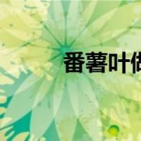 番薯叶做法鸡蛋汤（番薯叶做法）
