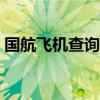 国航飞机查询航班动态（飞机查询航班动态）