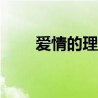 爱情的理解剧情介绍（爱情的理解）