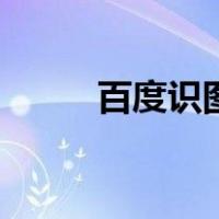百度识图翻译器（百度识图翻译）